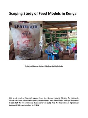 Scoping study of feed models in Kenya