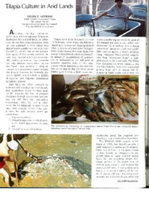 Tilapia culture in arid lands