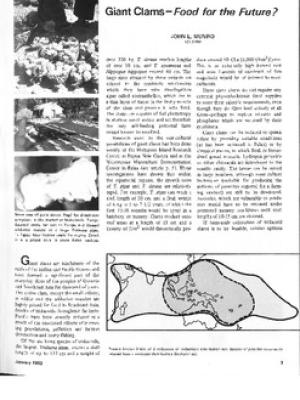 Giant clams: food for the future?