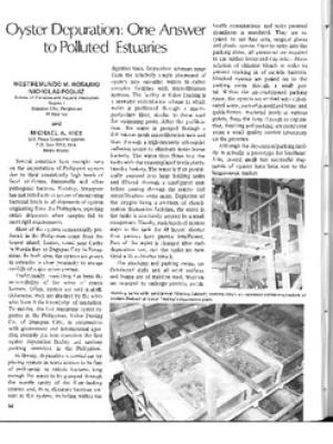 Oyster depuration: one answer to polluted estuaries