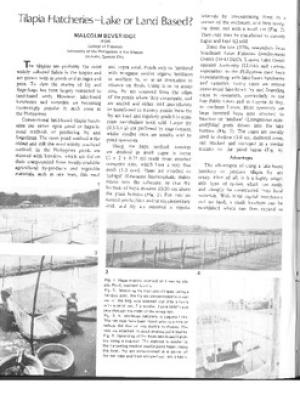 Tilapia hatcheries: lake or land based?