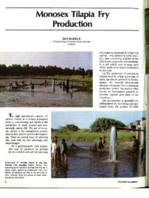 Monosex tilapia fry production