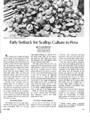 Early setback for scallop culture in Peru