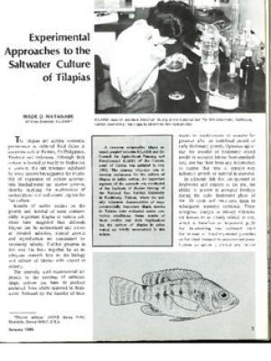Experimental approaches to the saltwater culture of tilapias