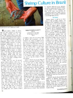 Shrimp culture in Brazil