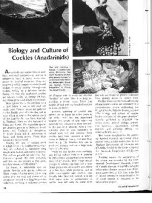 Biology and culture of cockles (Anadarinids)