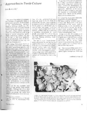 Approaches to turtle culture