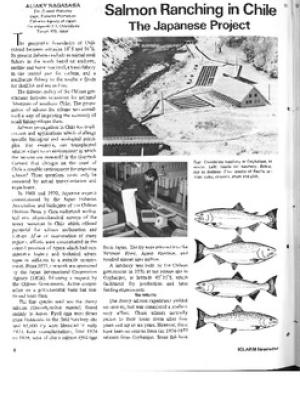 Salmon ranching in Chile: the Japanese project