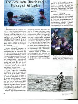 The athu kotu (brush park) fishery of Sri Lanka