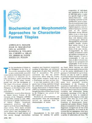 Biochemical and morphometric approaches to characterize farmed tilapias