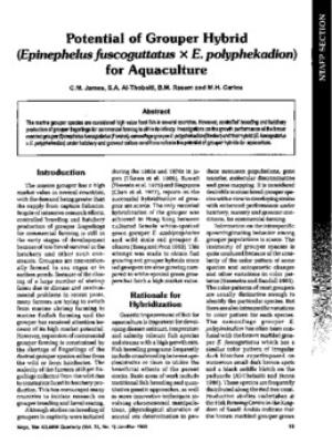 Potential of grouper hybrid (Epinephelus fuscoguttatus x E. polyphekadion) for aquaculture