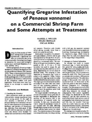 Quantifying gregarine infestation of Penaeus vannamei on a commercial shrimp farm and some attempts at treatment