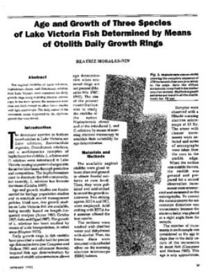 Age and growth of three species of Lake Victoria fish determined by means of otolith daily growth rings