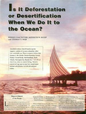 Is it deforestation or desertification when we do it to the ocean?