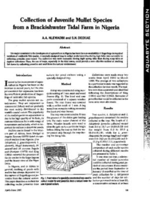 Collection of juvenile mullet species from a brackishwater tidal farm in Nigeria