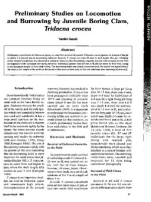 Preliminary studies of locomotion and burrowing by juvenile boring clam, Tridacna crocea