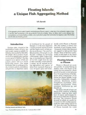 Floating islands: a unique fish aggregating method