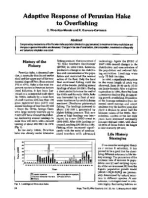 Adaptive response of Peruvian Hake to overfishing