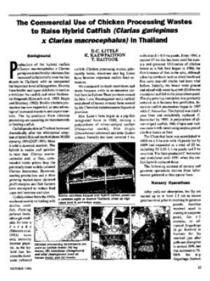 The commercial use of chicken processing wastes to raise hybrid catfish (Clarias gariepinus x Clarias macrocephalus) in Thailand