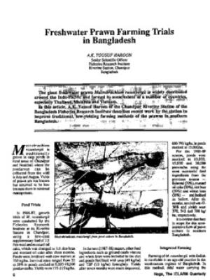 Freshwater prawn farming trials in Bangladesh