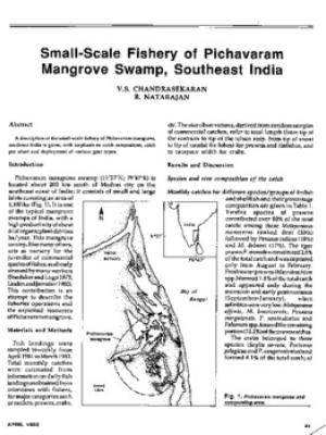 Small-scale fishery of Pichavaram mangrove swamp, Southeast India