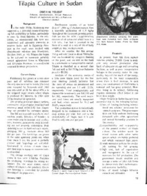Tilapia culture in Sudan