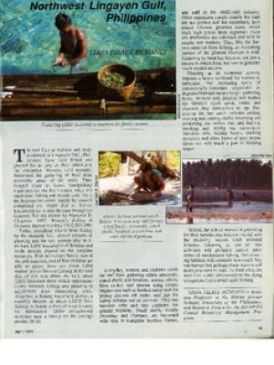 The gleaners of northwest Lingayen Gulf, Philippines