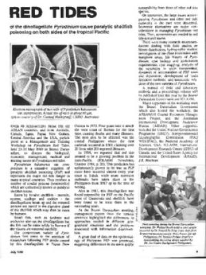 Red tides: of the dinoflagellate Pyrodinium cause paralytic shellfish poisoning on both sides of the tropical Pacific
