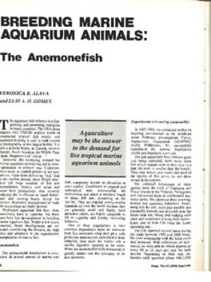 Breeding marine aquarium animals: the anemonefish