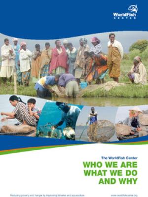 Who we are, what we do, and why