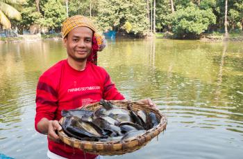  A Bangladeshi farmer poses with the climbing perch fish harvested from his aquaculture pond. The Gates Foundation is in the process of investing in the country’s smallholder aquaculture sector. Photo by Balaram Mahalder. 