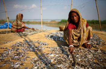 Women dry fish in Badurpur, Bangladesh. The fish will serve to improve household nutrition and will also be sold, providing a source of income. Source: IFAD