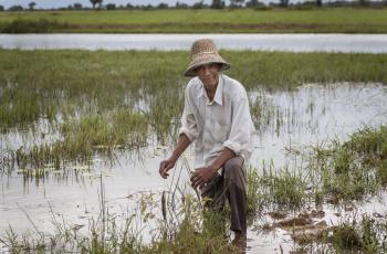 By investing in sustainable aquatic food production, it is possible to improve the quantity and quality of food available in low and middle-income countries. Photo by Fani Llauradó