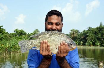 A fish farmer poses with his genetically-improved tilapia in Odisha, India. Photo by Arabinda Mahapatra.    