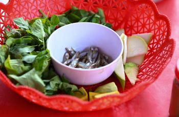 aquatic food