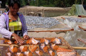 Aquatic food systems provide decent employment opportunities for youth. Photo by Edward H. Allison 