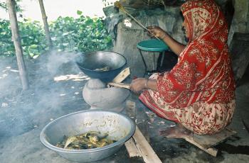Cooking a traditional fish dinner in Bangladesh. Photo by CBFM-Fem Com Bangladesh. 