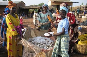 Fish traders in Mali
