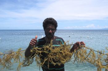 A farmer with seaweed in its culture site in Atauro Island, Timor-Leste. Photo by Jharendu Pant. 