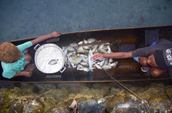 Children with fish in Lau Lagoon, Solomon Islands. Photo by Jan van der Ploeg