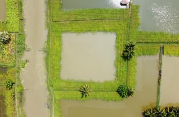 Aerial view of IAA 