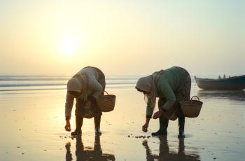 Two small-scale Moroccan fisherwomen doing gleaning activities at Atlantic coastline in Morocco. Photo by Menna Mosbah, Gender and social inclusion consultant, WorldFish, Egypt. 2024. Edited by Photoshop.