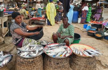 Marketing fish in a local market in Lagos, Nigeria. Photo by Nhuong Tran.