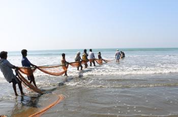 The ocean is an incredible source of aquatic foods. Photo by Md. Asaduzzaman.