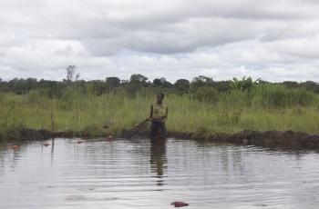 Aquaculture, especially polyculture systems with indigenous small fish species, has the potential to improve the nutrient intake of households during closed fishing seasons. Photo by Lulu Middleton.