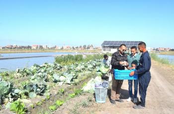 in pond raceway egypt