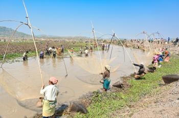 Women led community fishing at Borjong wetland in Assam. Photo by Sourabh Dubey.