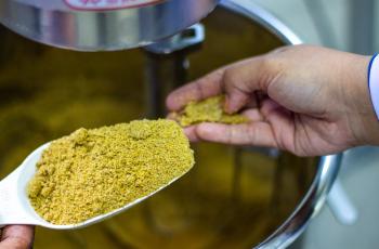 WorldFish has partnered with the Norwegian Agency for Development Cooperation (Norad) on a 5-year project to develop low-cost and highly nutritious aquatic feeds based on novel ingredients. Photo by WorldFish