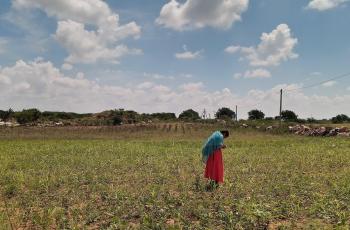 Understanding and influencing agency and behavior change in agroecological transformation processes. Photo by CGIAR.