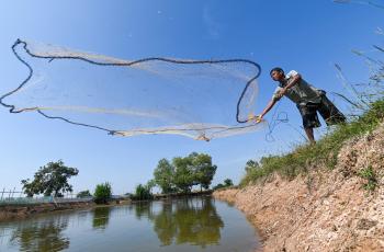 Diving deep into the diversity of fish and other aquatic foods offers an unmatched potential to transform food systems for healthier people and a sustainable planet. 